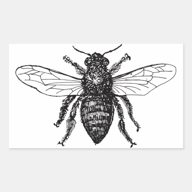 Bee Worker Honey Black Bumblebee Rectangular Sticker (Front)