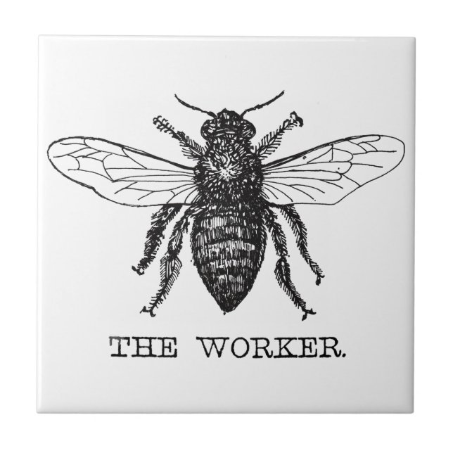 Bee Worker Honey Black Bumblebee Tile (Front)