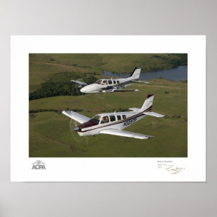 Beech Buddies Gallery Poster