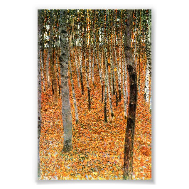 Beech Forest by Gustav Klimt Fine Art Photo Prints (Front)