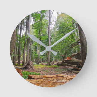 Beech forest motif round clock
