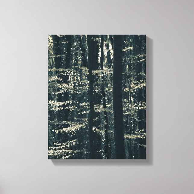Beech forest nature photo canvas print (Front)