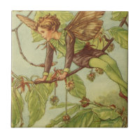 Beech Tree Fairy by Vision Studio