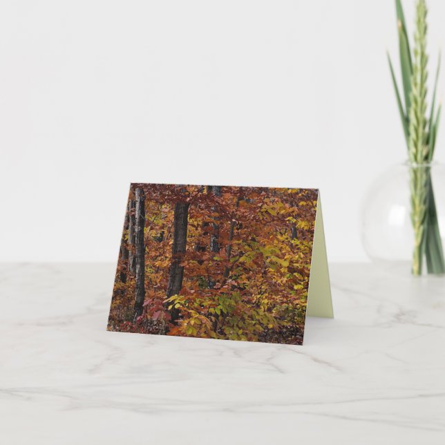 Beech Tree Forest Thank You Card (Front)