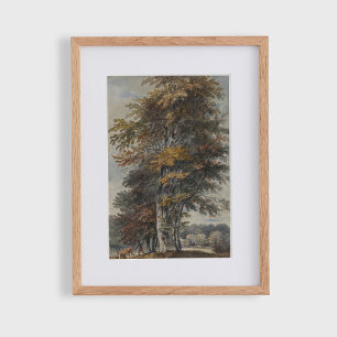 Beech tree, man, cattle and sheep, vintage  poster