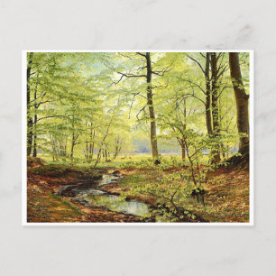 Beech trees in springtime, Christian Zacho  Postcard