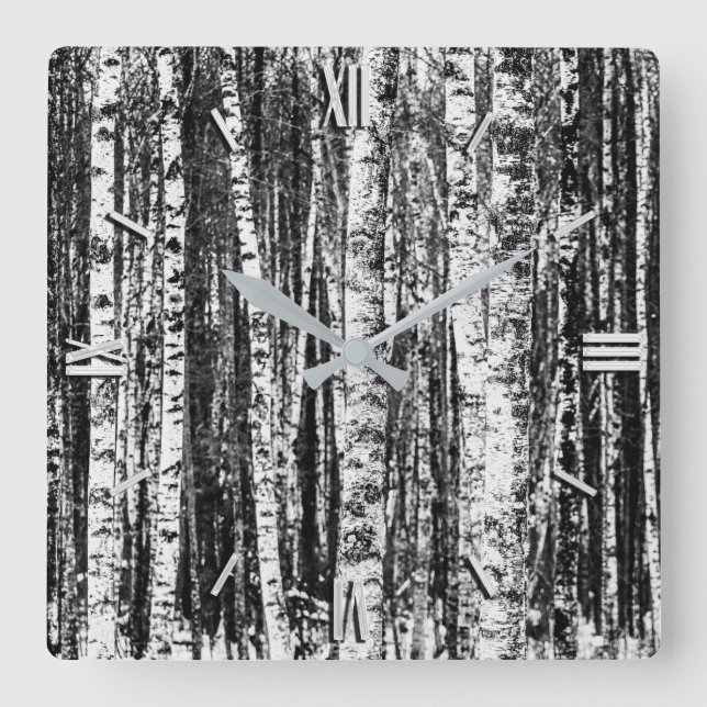 Beech Trees, White and Charcoal Gray / Grey Square Wall Clock (Front)