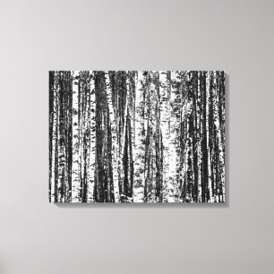 Beech Trees, White and Charcoal Grey / Grey Canvas Print