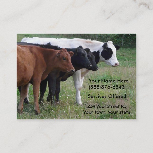 Beef Cattle Vet or Insemination Services Card (Front)