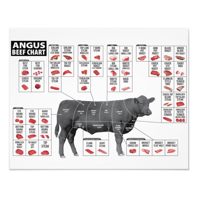 Beef Cuts  Photo Print (Front)