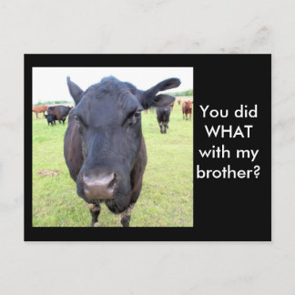 BEEF TAILS POSTCARD