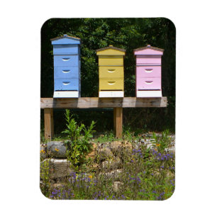 Beehive Magnet