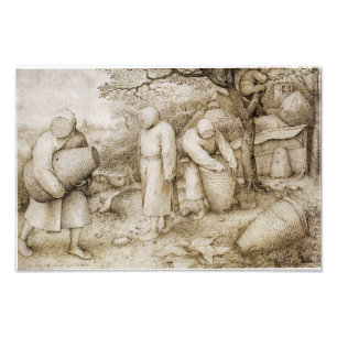 Beekeepers by Pieter Bruegel the Elder Photo Print