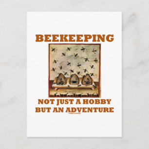 Beekeeping Not Just A Hobby But An Adventure Postcard