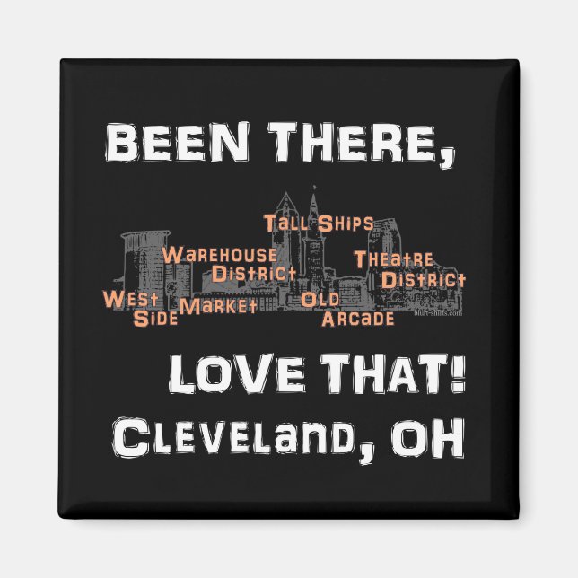 Been There, Love That! (on black) Magnet (Front)