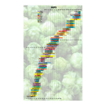 Beer By The Numbers – Hops