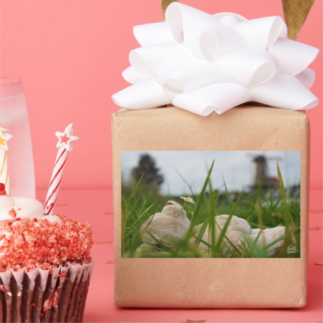 Beer relaxing in nature with Dutch moles. Rectangular Sticker (Party)