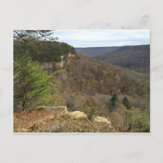 Beersheba Springs Postcard