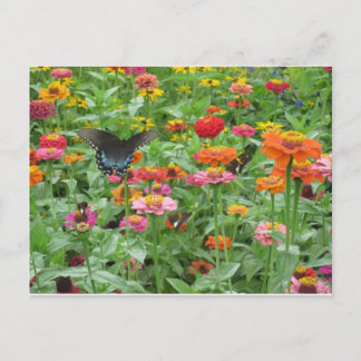 Beersheba Springs Postcard