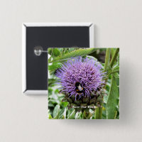 BEES 