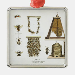 Bees and bee-keeping, from 'The Young Landsman', p Metal Tree Decoration