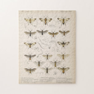 Bees and wasps from Cameron 1883-1890 Jigsaw Puzzle