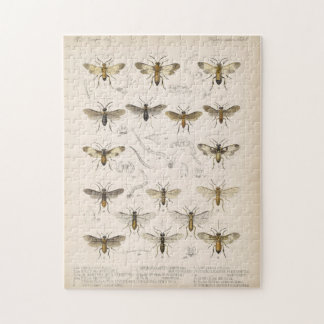 Bees and wasps from Cameron 1883-1890 Jigsaw Puzzle