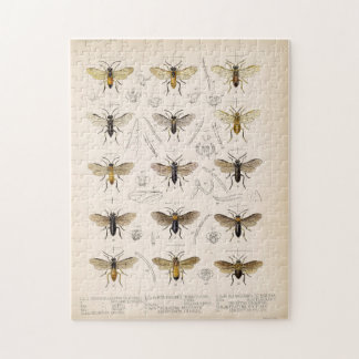 Bees and wasps from Cameron 1883-1890 Jigsaw Puzzle