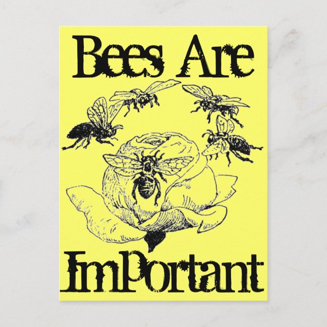 Bees Are Important postcard (Front)