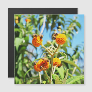 Bees at Work Magnetic Card