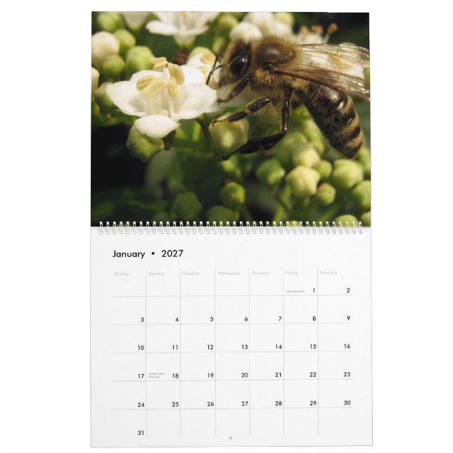 Bees Calendar (Jan 2027)