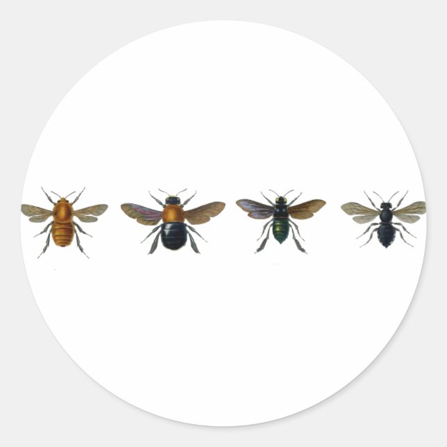 Bees Classic Round Sticker (Front)