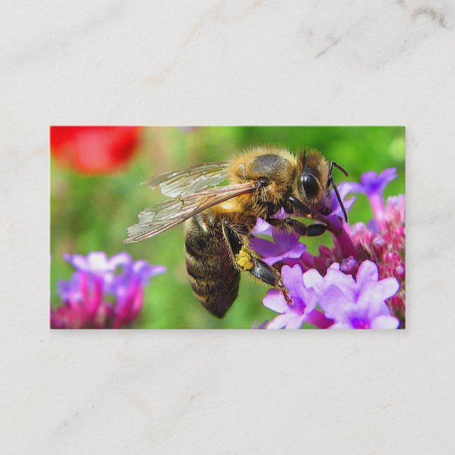 Bees for Sale Business Card (Front)