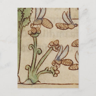 Bees from a Mediaeval Manuscript Postcard