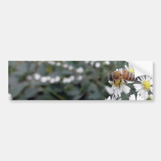Bees Honey Bee Wildflowers Flowers Daisies Photo Bumper Sticker (Front)