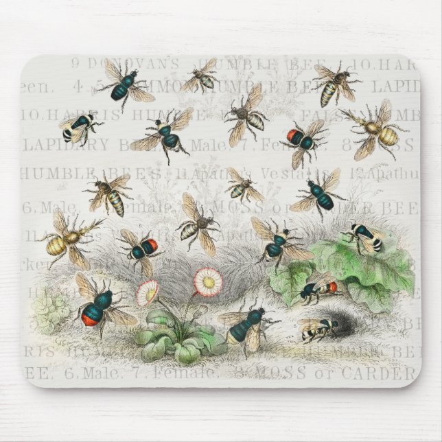 Bees Honey Worker Queen Nature Antique Bee Mouse Mat (Front)