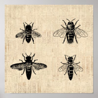 Bees Illustration Antique Bee Art Vintage Design