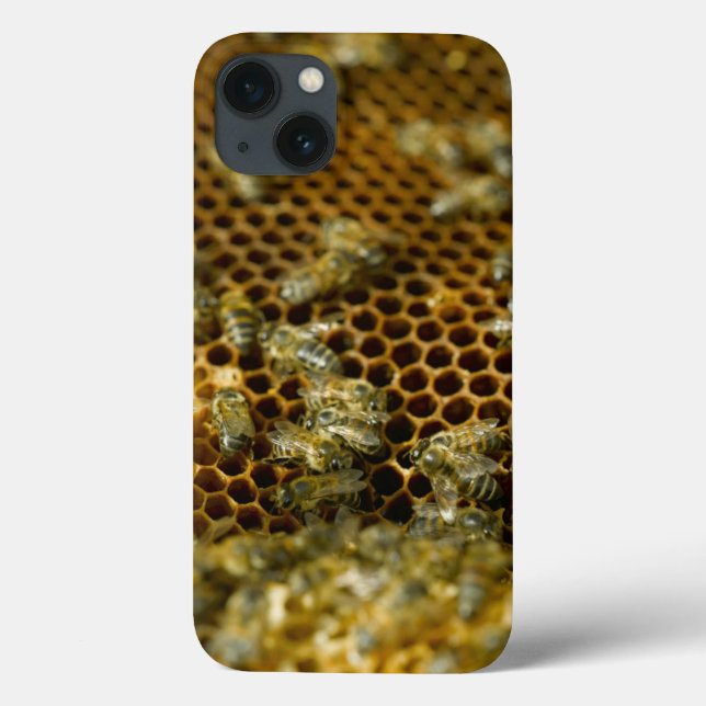 Bees In Hive, Western Cape, South Africa Case-Mate iPhone Case (Back)