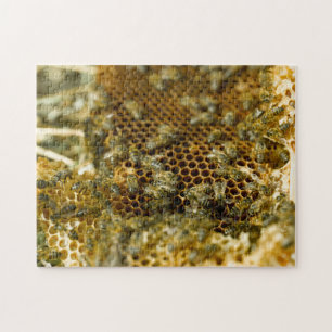 Bees In Hive, Western Cape, South Africa Jigsaw Puzzle