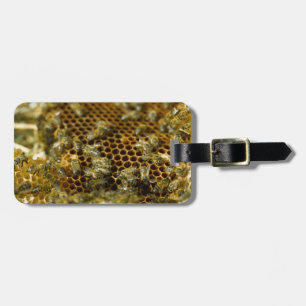 Bees In Hive, Western Cape, South Africa Luggage Tag
