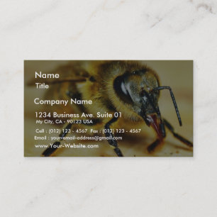 Bees Insects Business Card