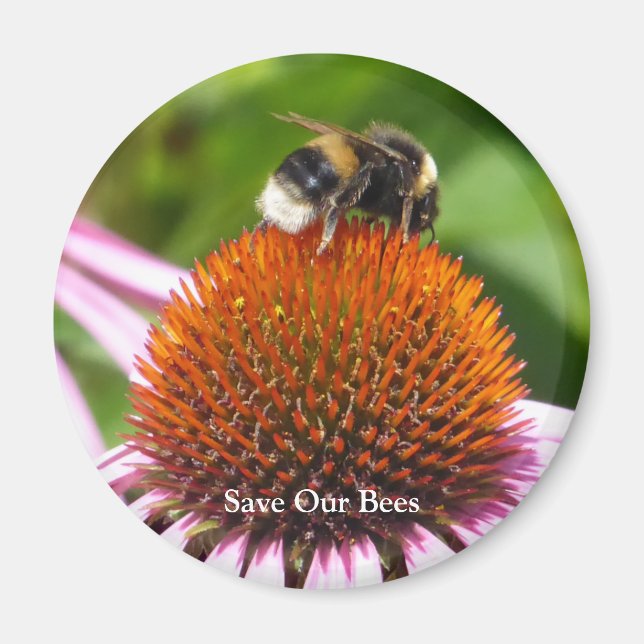 BEES    MAGNET (Front)