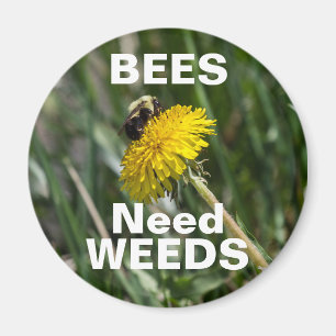 Bees Need Weeds Magnet