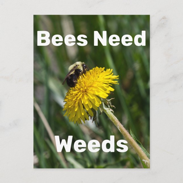 Bees Need Weeds Postcard (Front)