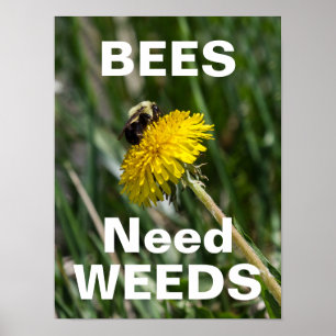 Bees Need Weeds Poster