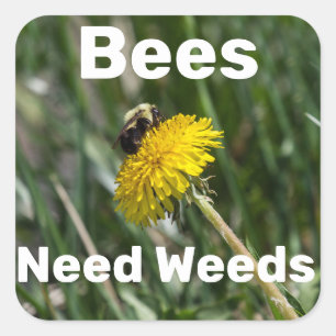 Bees Need Weeds Square Sticker