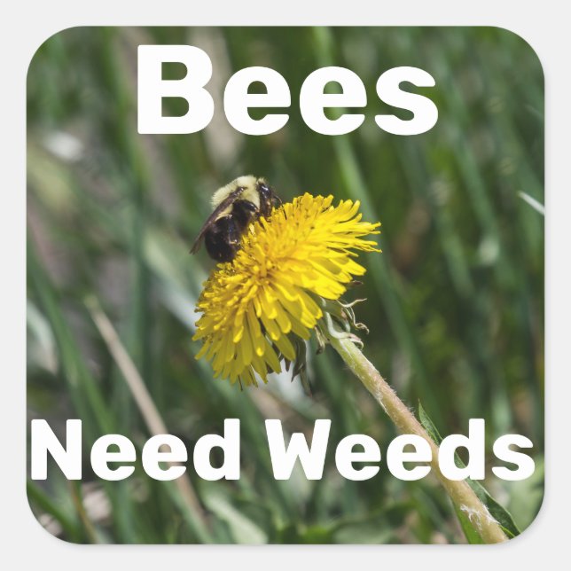 Bees Need Weeds Square Sticker (Front)