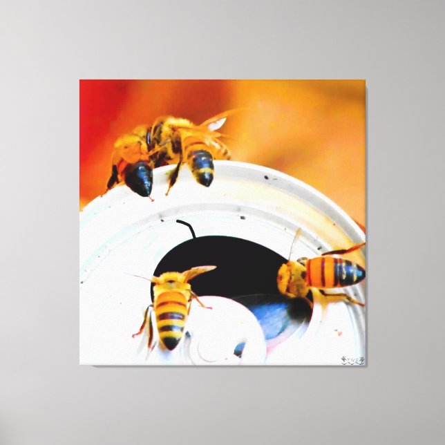 Bees on a Soda Can Canvas Print (Front)
