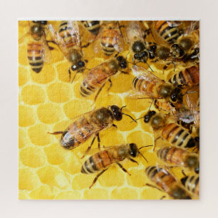 Bees on Honeycomb - Puzzle