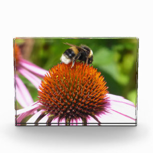 BEES  PHOTO BLOCK